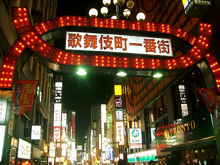 Kabukicho Gate at night.jpg