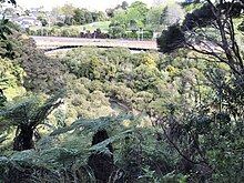 View south from the Kepa Bush Reserve, featuring the Purewa Creek, Eastern Line and the Purewa Cemetery. Kepa Bush Reserve 20211004 IMG 3732 - 51547340417.jpg