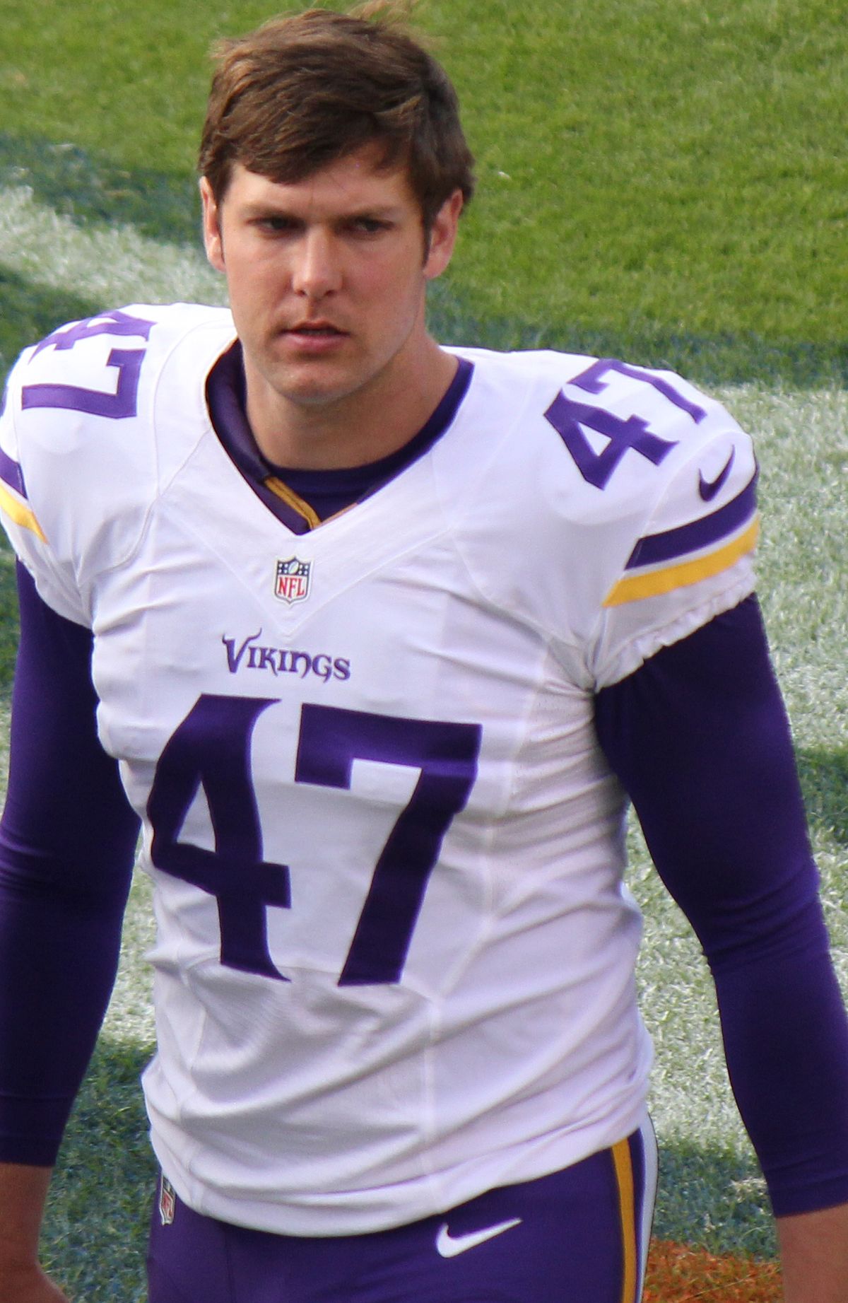 Minnesota Vikings, American Football Wiki