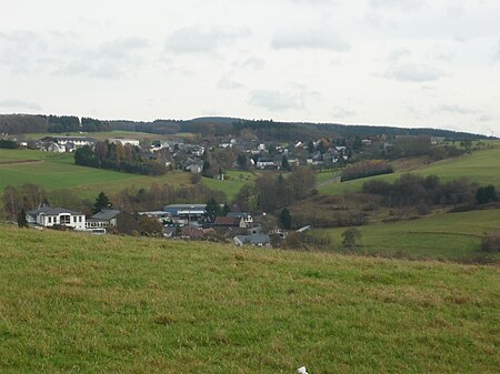 KroppacherSchweiz niedermoersbach2009 038