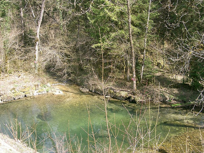 File:La Balerne, confluent avec le Drye au pont de Barrey.JPG