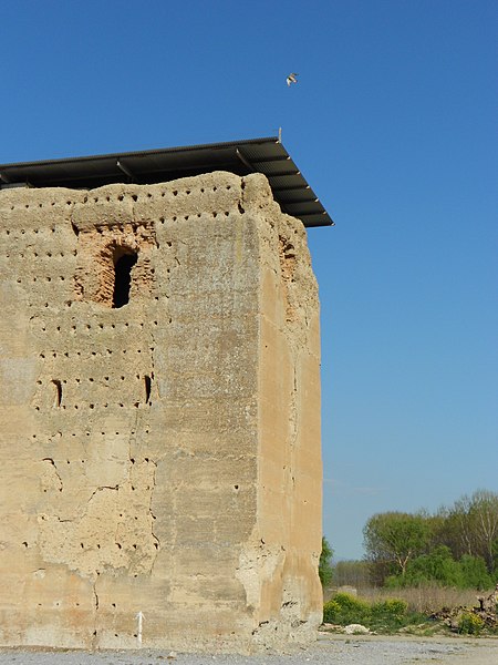 La Torre de Roma en el Soto de Roma.JPG