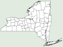 Lagenaria siceraria NY-dist-map.png
