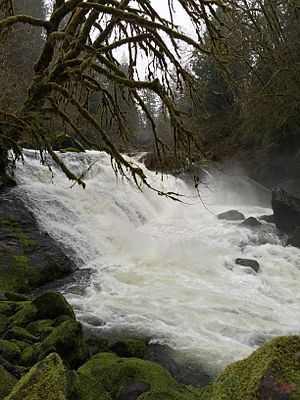 Lake Creek Falls Watchable Wildlife & Recreation Site (25168782693) .jpg