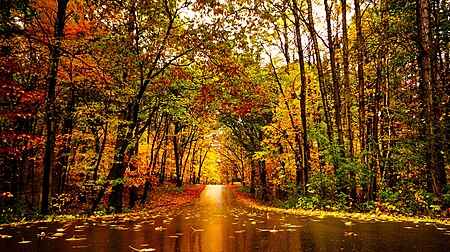 Lake Maria State Park