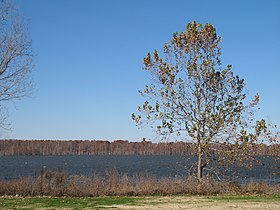 Comté de Washington (Mississippi)