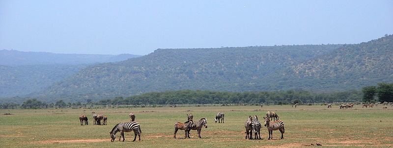 File:Lake manyara 2012 authorBevanda Wegmann2.JPG