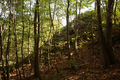 English: Summit: Hohmichelstein near Rudlos, Lauterbach, Hesse, Germany