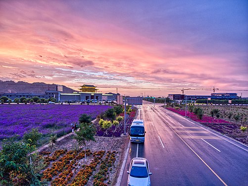 lavender and afterglow in Zhangye,Gansu,China,2018