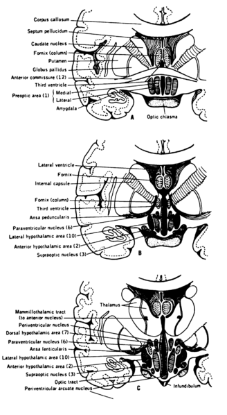 File:Lawrence 1960 21.2 A-C.png