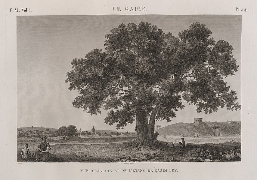 Pl.44 - Vue du jardin et de l'étang de Qasim Bey