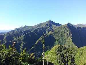 Le Morne du Bras des Lianes, Bras Panon, Île de la Réunion - panoramio.jpg