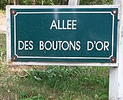 Le Touquet-Paris-Plage 2019 - Allée des Boutons-d'Or.jpg