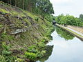 Detail of the cutting done to sink the cut.