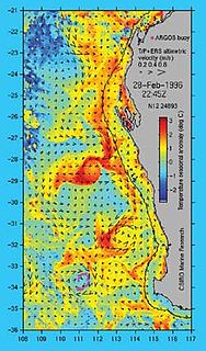 Leeuwin Current Ocean current off the western coast of Australia