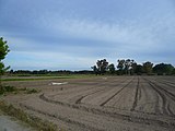 ]] (Baix Llobregat) (El Prat de Llobregat, Viladecans, Gavà i altres). This is a a photo of a natural area in Catalonia, Spain, with id: ES510103 Object location 41° 16′ 48″ N, 2° 05′ 24″ E  View all coordinates using: OpenStreetMap