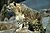 Lightmatter snowleopard.jpg