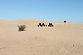 Kleine Sahara OK 1.jpg
