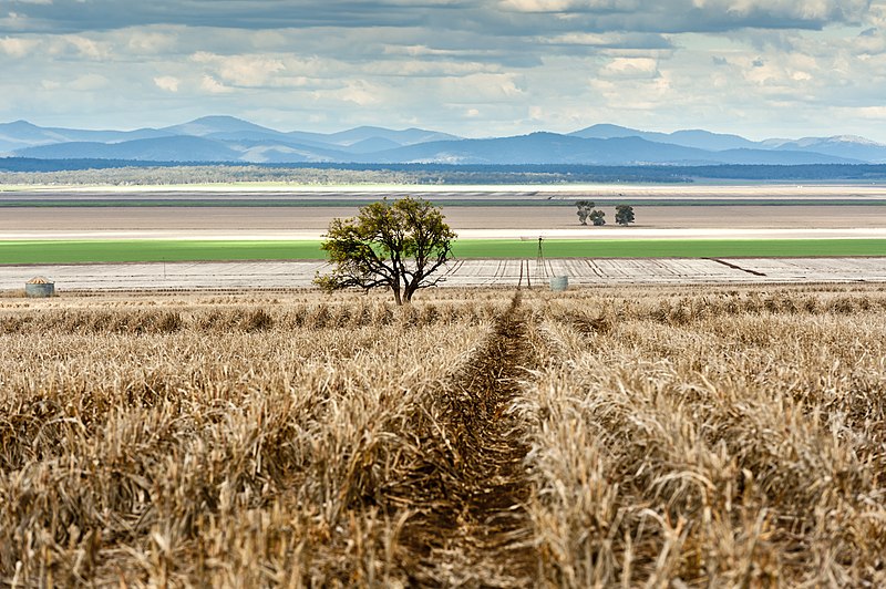 File:Liverpool Plains, New South Wales, Australia.jpg