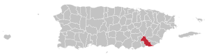Карта Пуэрто-Рико с указанием муниципалитета Патиллас