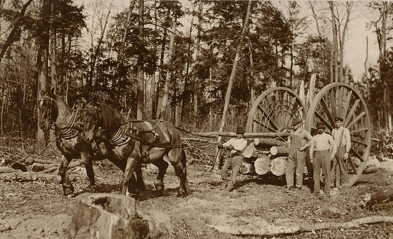 File:Logging wheels 1915.jpg