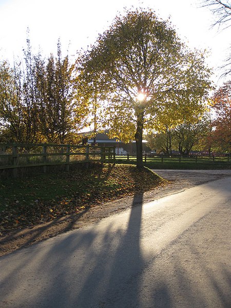 File:Low afternoon sun - geograph.org.uk - 1558377.jpg