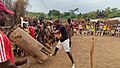 Lutte traditionnelle à Zagouiné 16