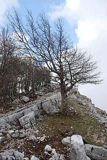 Monte Semprevisa Mountain in Italy
