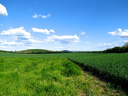 Fields count. Мадисон (Алабама). Алабама горы поля. Поле вблизи.