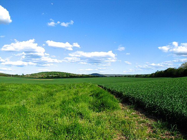 Farm fields near New Market