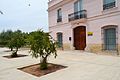 Гранатове дерево у Валенсії