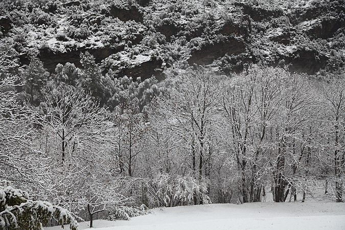 1er mai : Paysage de neige près du hameau de Mandajors dans le PN des Cévennes, par MarcJP46.