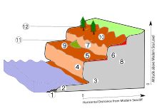 marine terraces