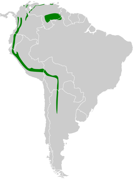 File:Mecocerculus leucophrys map.svg