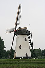 Miniatuur voor De Witte Molen (Meeuwen)