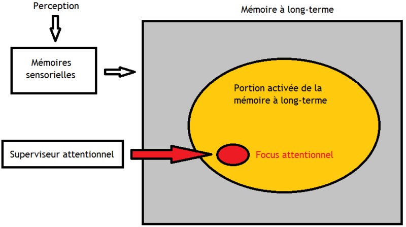 File:Memory model of cognition.png