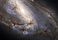 Gros plan de M66 par le télescope spatial Hubble.