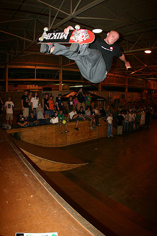 <span class="mw-page-title-main">Mike Vallely</span> American skateboarder and singer