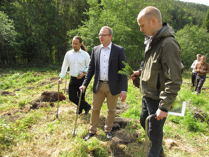 File:Ministere planter skog - Flickr - Landbruks- og matdepartementet (1).jpg