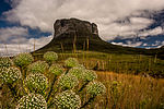 Miniatura para Parque nacional de la Chapada de la Diamantina