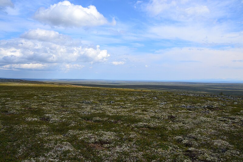 File:Mountain plateau in Yugyd Va N.P.jpg