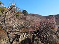 不老園と八人山。