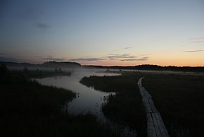 Muraka looduskaitseala, Rüütli soo, älves..JPG