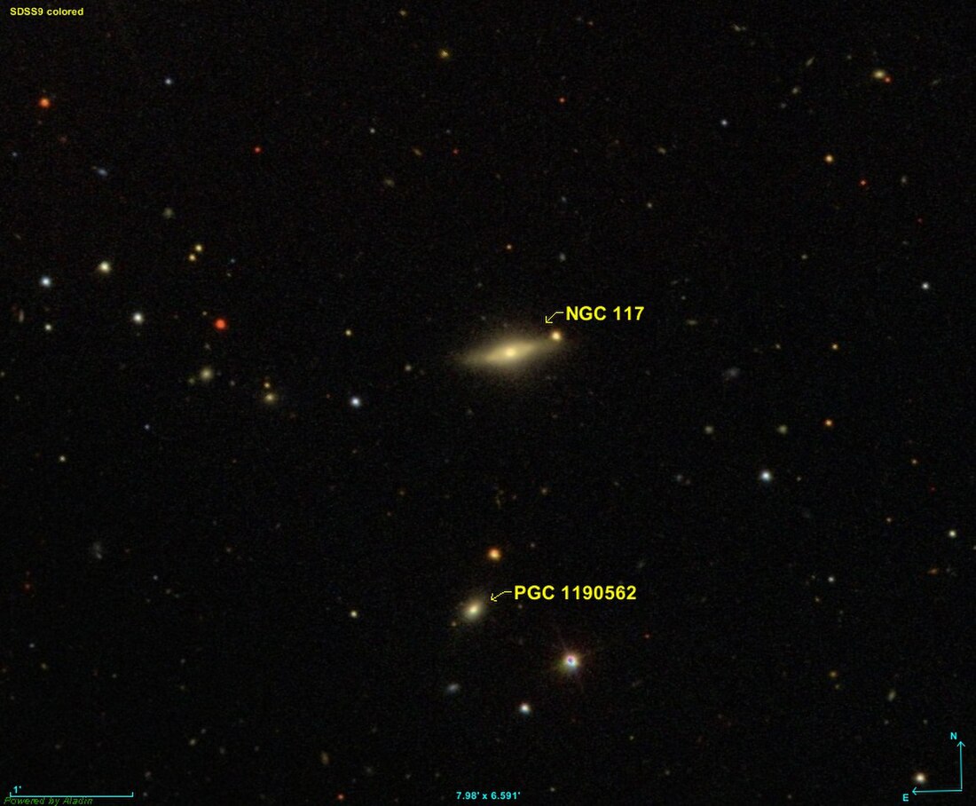 NGC 117