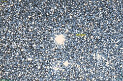 NGC 2005 DSS.jpg