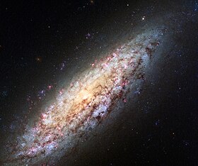 Image illustrative de l’article NGC 6503