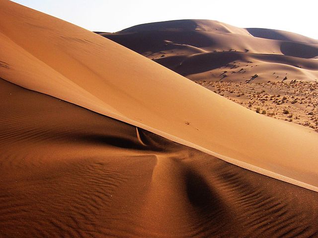 Sand dunes of the Namib desert