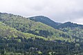 Deutsch: Der Rotenberg im Naturpark Thüringer Wald - Blick vom Reinhardsberg in Friedrichroda.