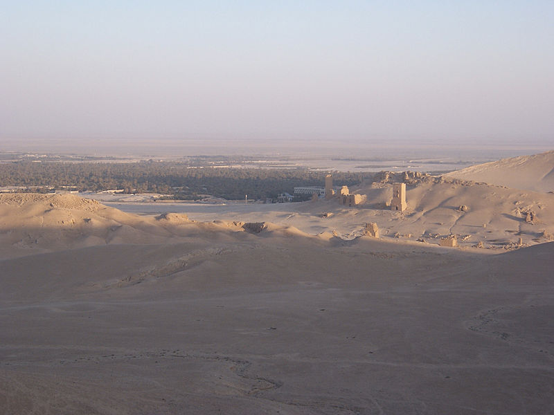 File:Necropolis and Surrounding Landscape at Palmyra, Syria. (I) - 5515211610.jpg