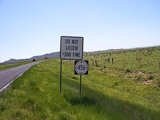 <span class="mw-page-title-main">New Mexico State Road 456</span>